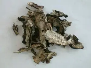 600 G GR GRAM CHUAN NIU XI RADIX CYATHULAE MEDICINAL CYATHULA ROOT