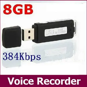 Dictaphone ( 2in1 : 8GB FlashDisk + fitur perekam suara/Recorder)