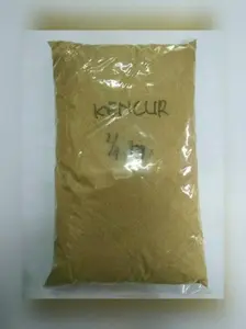 kencur bubuk 1kg