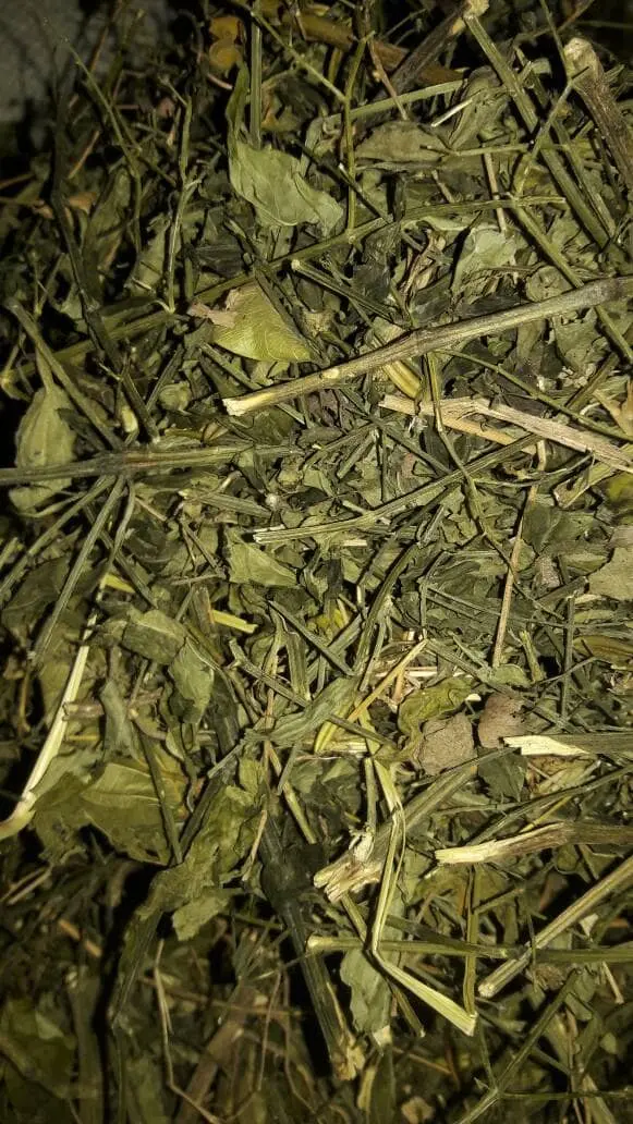 SAMBILOTO KERING 250GRAM 250 GRAM