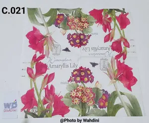 Tissu Napkin Decoupage C.021