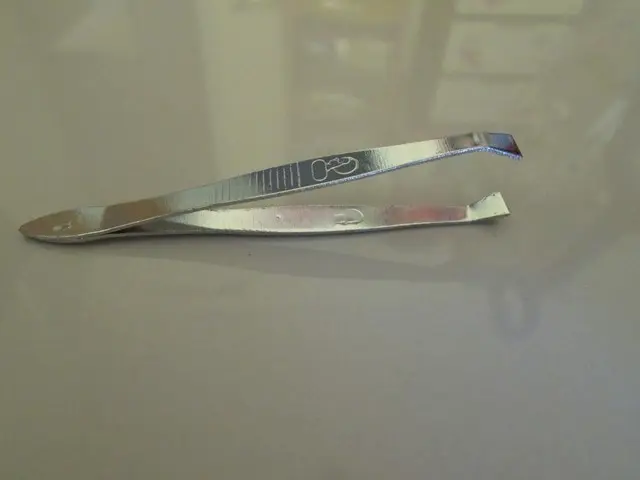 Pinset / penjepit
