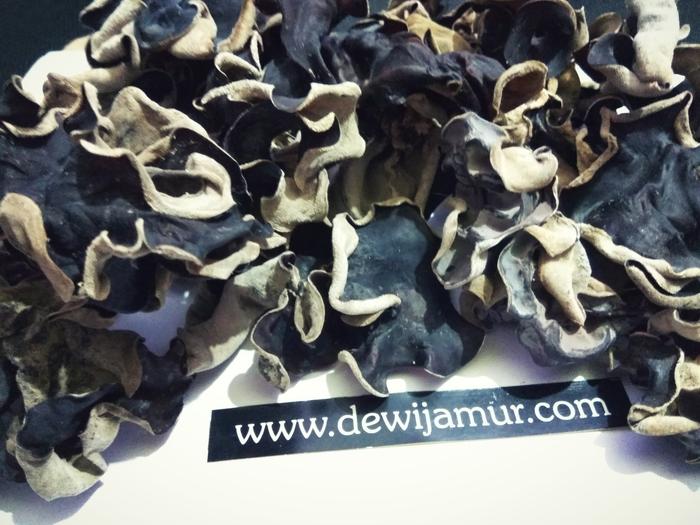 Gambar Jamur Kuping Kering grosir 1kg dari DewiJamur Kab. Kediri Tokopedia