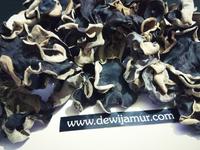Gambar Jamur Kuping Kering grosir 1kg dari DewiJamur Kab. Kediri 2 Tokopedia