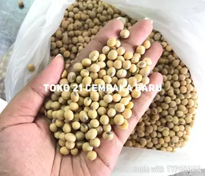 Kacang Kedelai Impor Amerika Super 1KG Biji Mentah Import 1 KG Kiloan