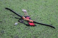 Gambar Wooden Recurve Bow/Panah dari Hobies Sport Kota Banjar 4 Tokopedia