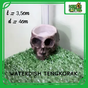 Mini Skull Water Dish Tempat Minum Reptil Kecil Tarantula Scorpion