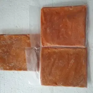 Burger Kuning Ikan Discus Pewarna Ikan Discus