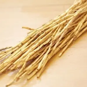 Akar Alang Alang Segar Rempah Herbal Natural Obat Alami