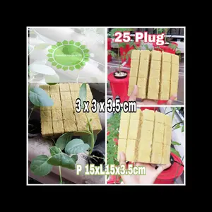 Siap Pakai Rockwool Cultilene Uk 3 x3 x 3.5 Cm 25 Pcs Bonus Bibit