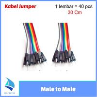 Gambar Kabel Jumper arduino Dupont Pelangi 30 cm Male to Male 1 lembar dari raftechbandung Kota Bandung 1 Tokopedia