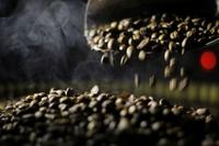 Gambar Kopi Arabica Gunung Halu Honey 200gr V60, Aeropress, Manual Brew dari Kerta Koffie Roastery Kab. Karawang 3 Tokopedia