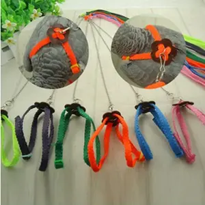 Harness untuk Burung Parrot