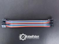 Gambar Kabel jumper Female-Female 20pin 20CM Berkualitas dari KelasRobot Kab. Sumedang 2 Tokopedia