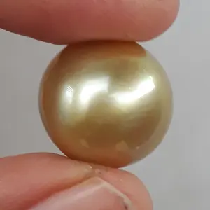 butiran mutiara laut / mutiara asli / mutiara lombok