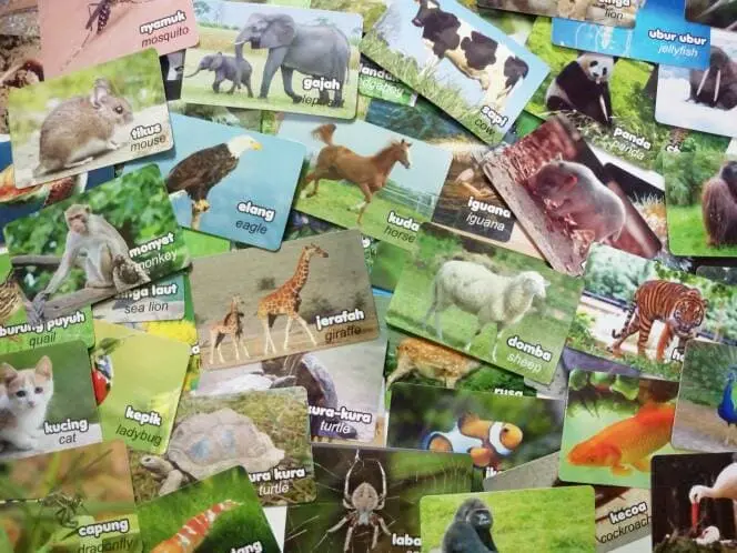 FLASHCARD 100 kartu MENGENAL BINATANG /MAINAN EDUKASI flash card
