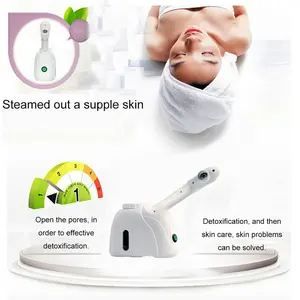 Portable mini steamer uap wajah