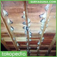 Gambar Besek bambu Murah Surabaya dari Suryaguna Store Kab. Tulungagung 4 Tokopedia
