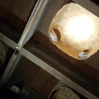 Gambar Besek Anyaman Bambu dari Suryaguna Store Kab. Tulungagung 5 Tokopedia