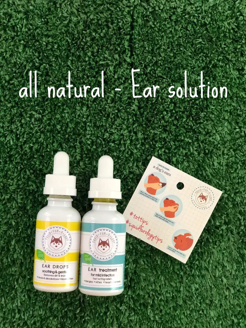 Squidfurology Ear Drops - Trick or Treat Barkery