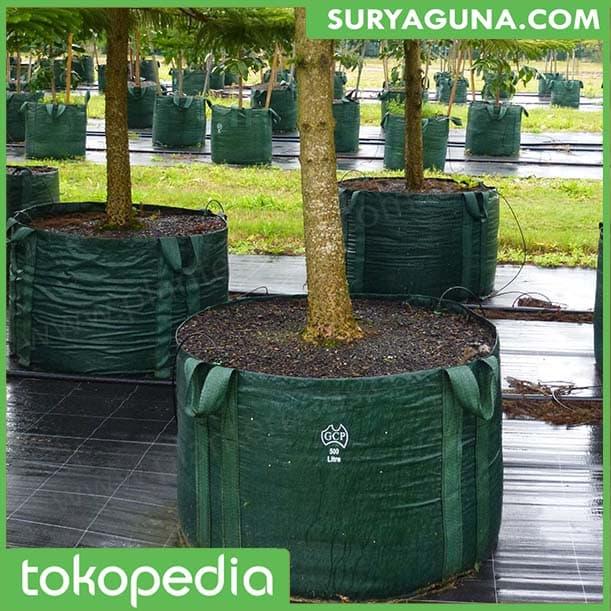 Gambar Produsen Planter Bag Eceran Ukuran 75 Liter Termurah dari Suryaguna Store Kab. Tulungagung Tokopedia