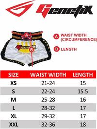 Gambar GENETIX MS0103 MUAY THAI SHORT Silver dari ELITE MMA SHOP Kota Administrasi Jakarta Barat 3 Tokopedia