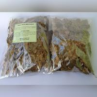 Gambar Jati Belanda dari Rumah Rempah Manisha Solo Kota Surakarta 5 Tokopedia