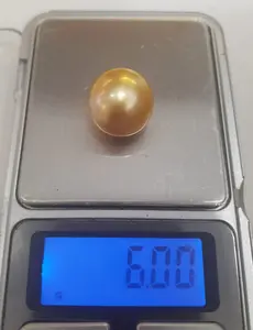 Mutiara laut gold besar jumbo , langka mutiara lombok asli mewah