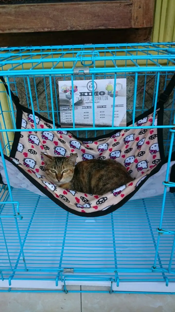 Ayunan Kucing Hammock ukuran 50x50 ada pengatur panjang pendek tali