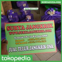 Gambar telur jangkrik alam dijamin berkualitas dari Suryaguna Store Kab. Tulungagung 3 Tokopedia