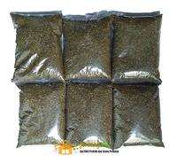 Gambar Benih albasia(sengon laut) dari PUROTANI.ID Kab. Purworejo 4 Tokopedia