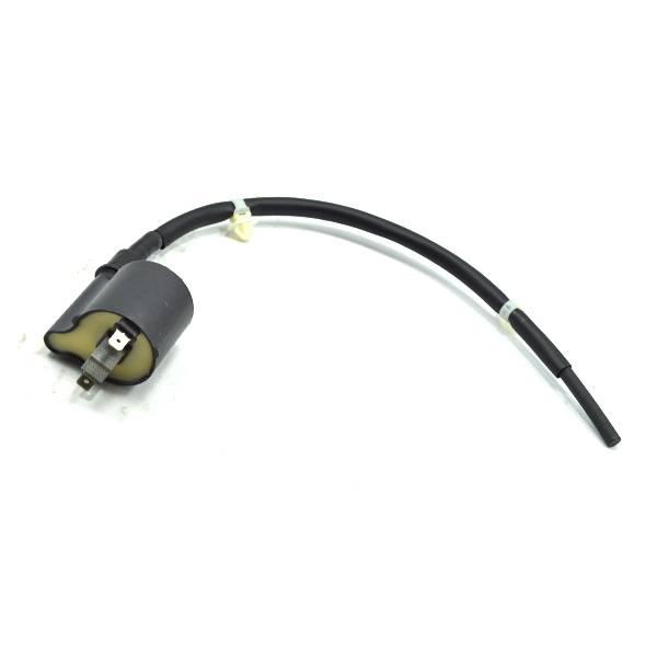 Gambar Coil Ignition (Pengapian) - Vario 110 Karbu dari Honda Cengkareng Kota Tangerang Tokopedia