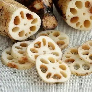 Lotus Root Akar Teratai Segar 500gr Rempah Alami