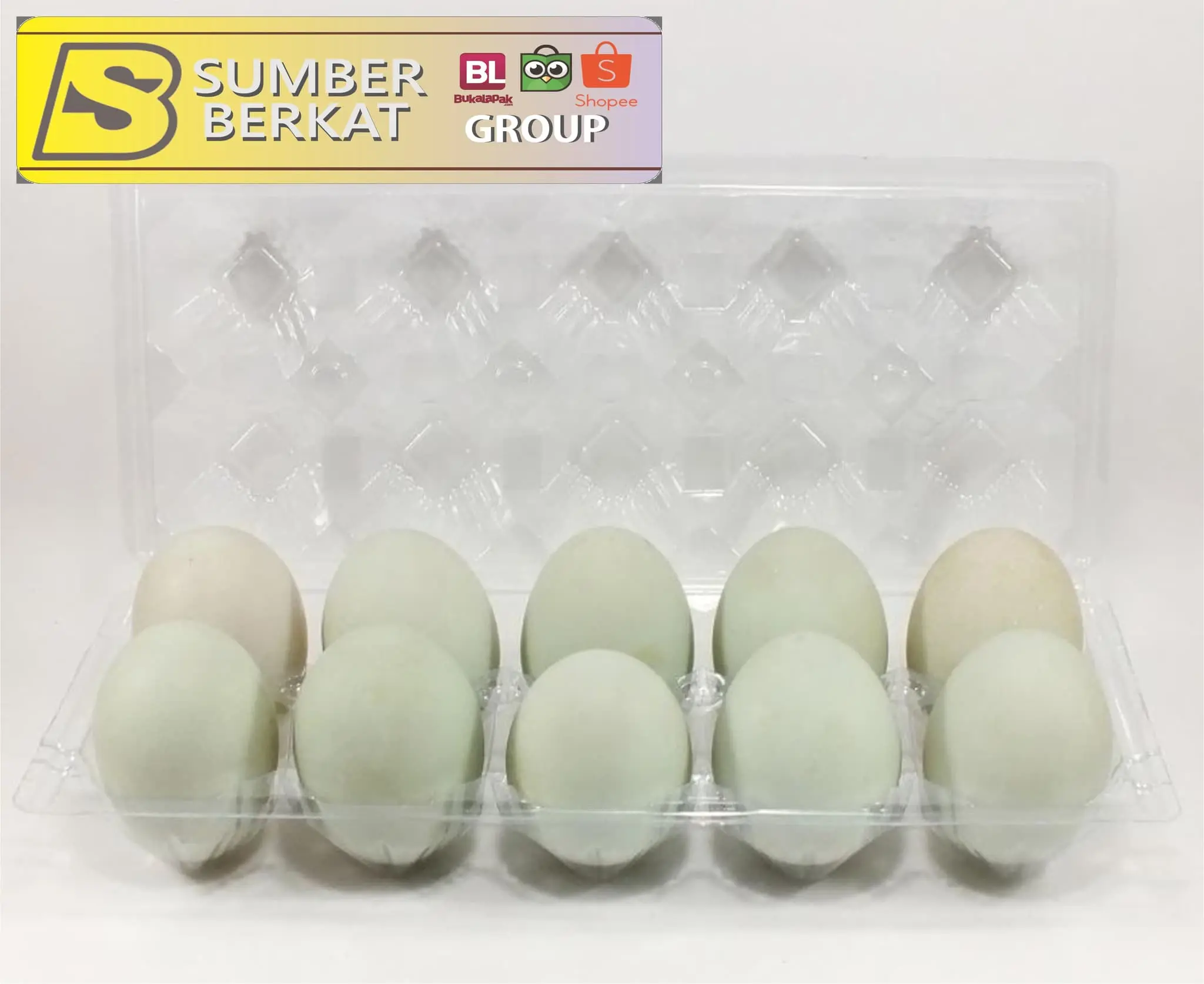 Tray Telur - Egg Tray - Mika Telur Isi 10 Butir