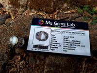 Gambar Permata Natural Moonstone Cat Eye Superb Quality Memo My Gems Lab dari CNC phoneshop Kota Administrasi Jakarta Pusat 2 Tokopedia
