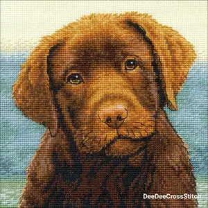 Paket Kristik Original / Asli Dimensions - 70-65177 Hot Chocolate