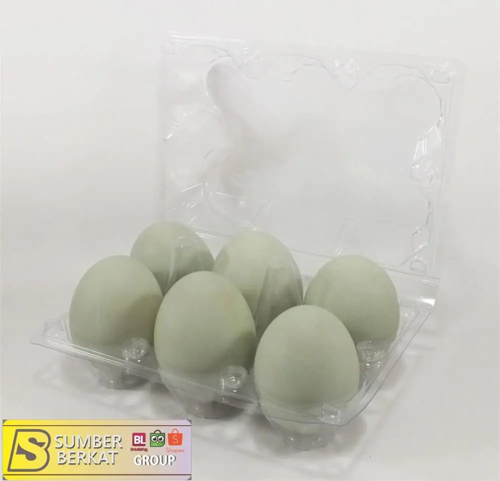 Tray Telur - Egg Tray - Mika Telur Isi 6 Butir Dengan Pengunci
