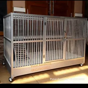 Kandang kucing kamar luas