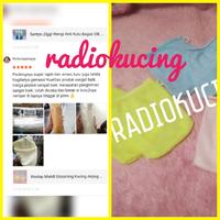 Gambar Waslap Mandi Grooming Kucing Anjing Hewan dari RADIO KUCING Kota Bandung 2 Tokopedia