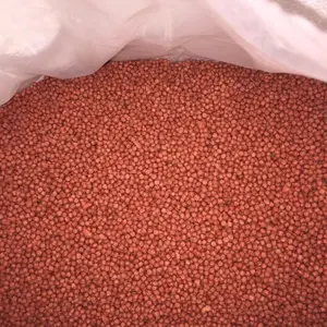 Pelet ikan koi - pakan ikan koi merk sakura