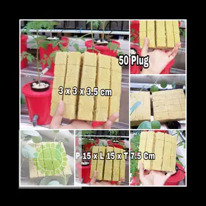 Rockwool Buah Siap Pakai 50 Plug Ukuran 3 x 3 x 3.5 Cm Bonus Bibit