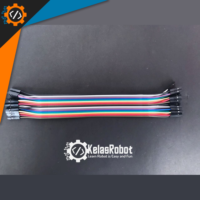 Gambar Kabel jumper Female-Female 20pin 20CM Berkualitas dari KelasRobot Kab. Sumedang Tokopedia