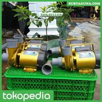 Gambar Pompa Air Listrik Pompa Kolam Koi 2 Inc dari Suryaguna Store Kab. Tulungagung 5 Tokopedia