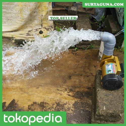 Gambar Pompa Air Listrik Pompa Kolam Koi 2 Inc dari Suryaguna Store Kab. Tulungagung Tokopedia