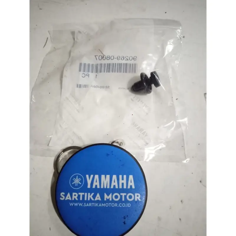 Original Rivet Windshield Yamaha Xmax 0