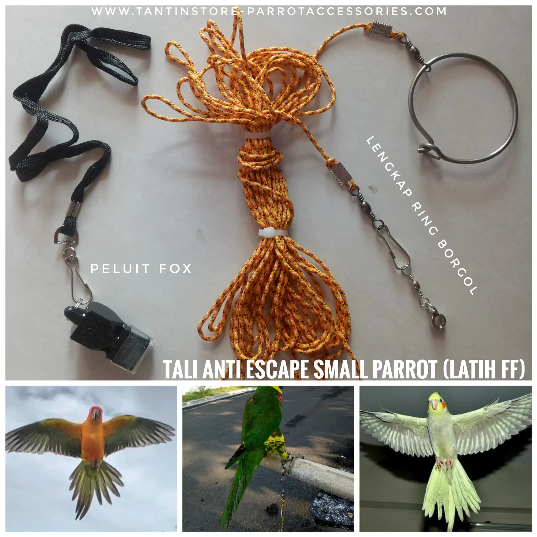 Paket Tali Anti Escape Plus Peluit Fox Burung Small Parrot