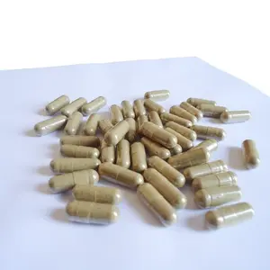 Kapsul Cacing Tanah Kering Rempah Herbal Natural Obat Alami