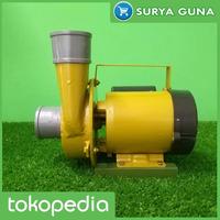 Gambar Pompa Kolam Ikan Koi JET 350 Mesin Pompa Kolam Ikan dari Suryaguna Store Kab. Tulungagung 3 Tokopedia