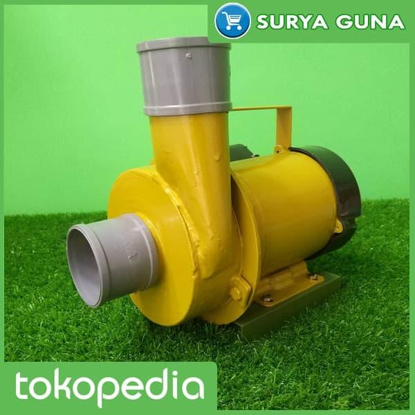 Gambar Pompa Kolam Ikan Koi JET 350 Mesin Pompa Kolam Ikan dari Suryaguna Store Kab. Tulungagung Tokopedia