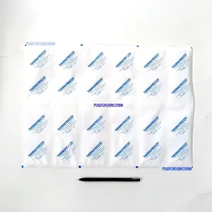 Paket 30pcs Thermafreeze (Ongkir 1KG)Ice Gel Kering